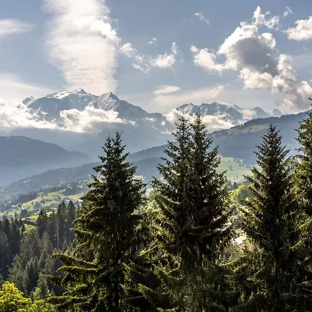 Garden&city Megève - Appart hôtel 3*